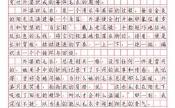 poverty一段作文，poverty 作文