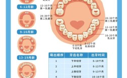 婴幼儿牙齿护理，家长该注意哪些关键点？