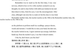 我的老师高中英语作文，我的老师高中英语作文带翻译