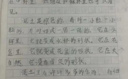 水泥的种类作文