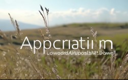 2025年还在用appreciation口语？地道表达这些更常用！