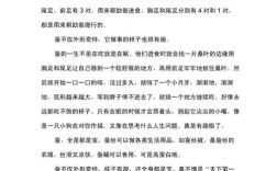 雅思作文 蚕，雅思作文蚕的生命周期