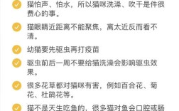 猫咪的一些常识