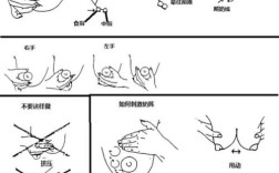 催乳师需掌握哪些基本常识？