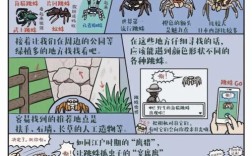 如何设计有效的蜘蛛安全教育？