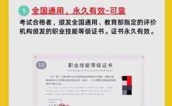 教育部1 x证书政策