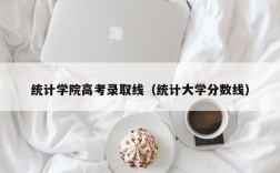 统计学院高考录取线（统计大学分数线）