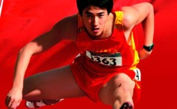 刘翔品质英文作文，如何展现其精神内核？