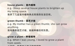 口语介绍植物，口语介绍植物怎么写