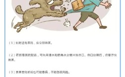 学校狂犬安全教育，如何让学生真正重视？