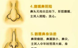 鼻综合的五大常识