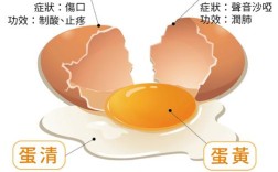 关于鸡蛋的常识还有哪些