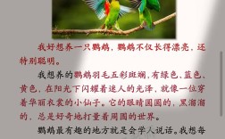 鸟的口语，鸟的口语交际