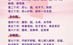 了解女性妊娠的基本常识