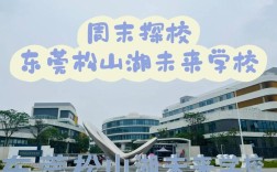 松山湖教育培训政策有哪些新变化？