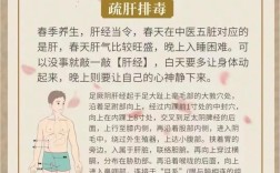 男性春天养生有哪些关键要点？