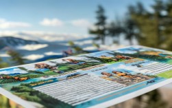 教育局十一出行政策有何新变化？