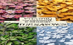 2025春夏秋冬四季常识最新版，哪些细节你还在混淆？