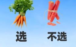 生活小常识窍门有哪些实用技巧？