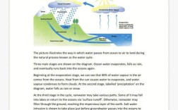 雅思英语小作文范本，雅思英语小作文范本图片