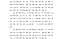 安全教育半年总结成效如何？