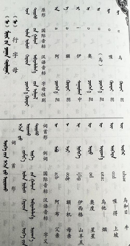 蒙古国语言教育政策