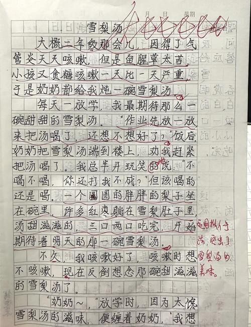 家里的燃料作文