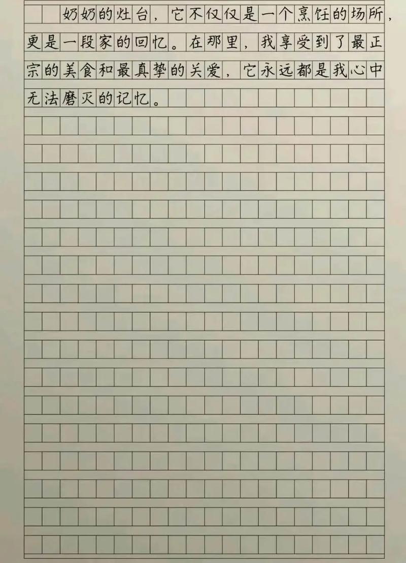 家里的燃料作文