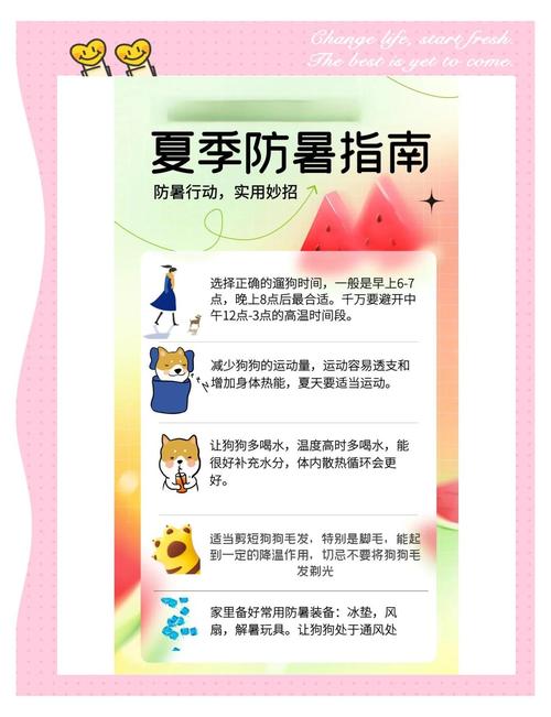 夏季防暑降温小常识海报