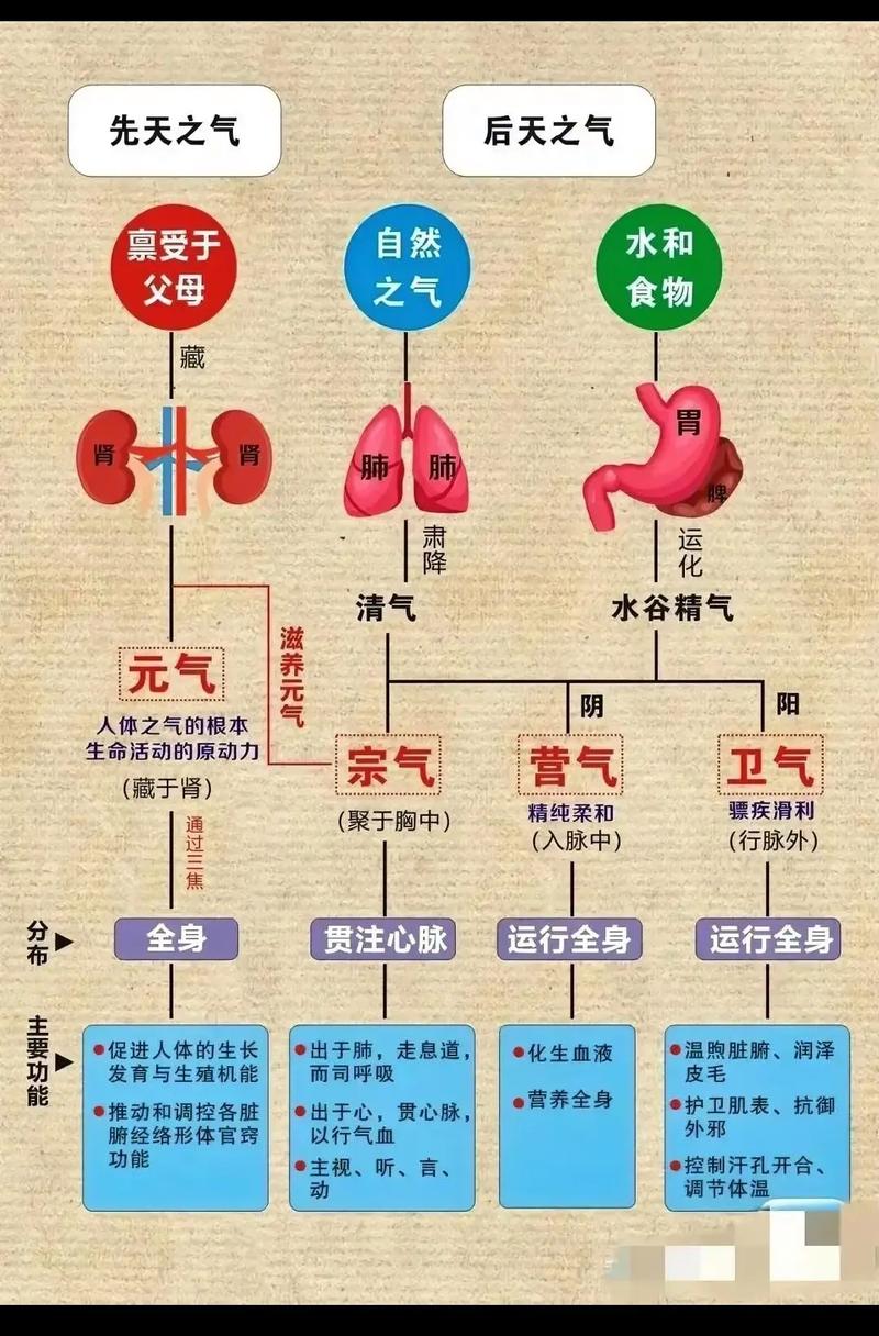 中医的10种基本常识