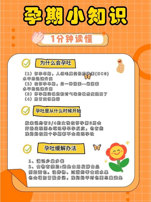 孕期护理常识介绍一月