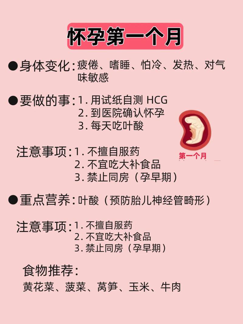 孕期护理常识介绍一月