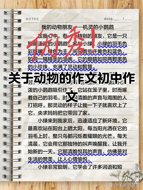 作文动物的实验