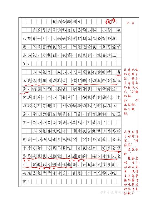 作文动物的实验