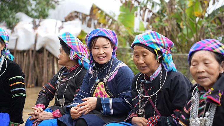 党的少数民族教育政策