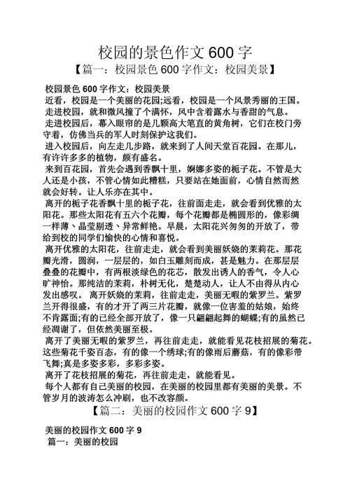 学校的选址作文