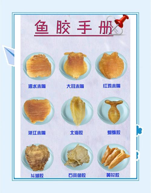 关于鱼胶的一些常识