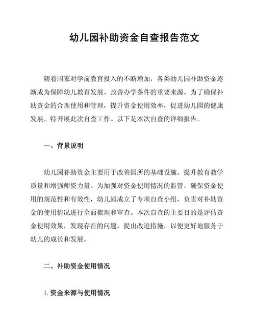 学前教育政策自查报告