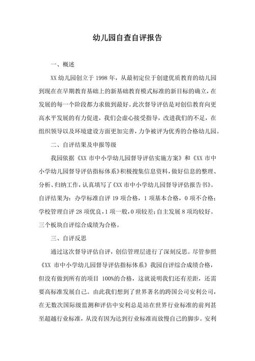 学前教育政策自查报告