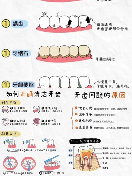 保护牙齿的健康常识图片