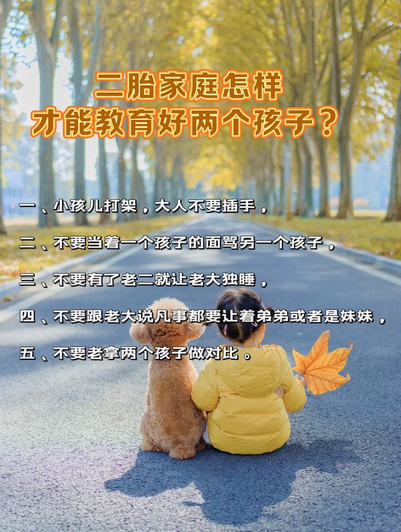 二胎政策后的教育问题