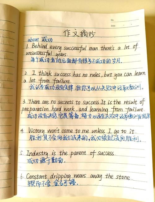 知识量英文作文