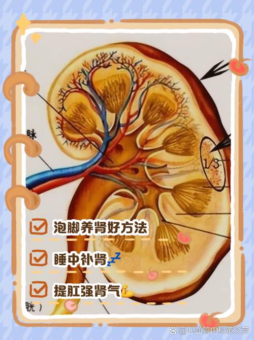 老年人春季养肾常识