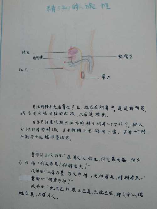 初中生男生生理常识