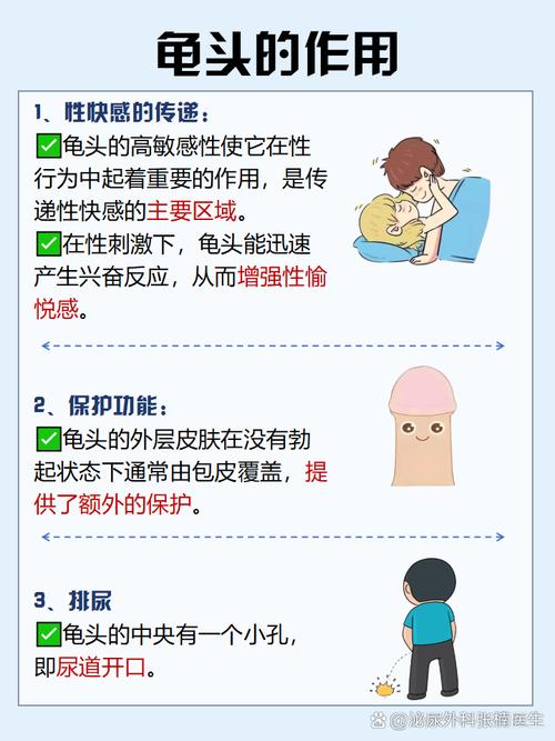 初中生男生生理常识