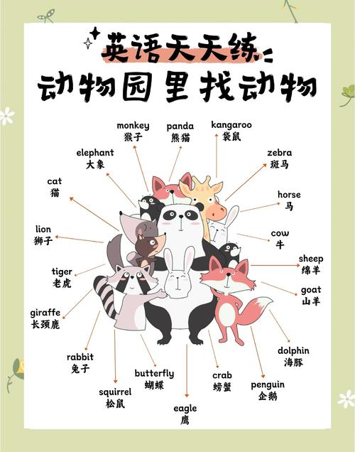 animal口语考试