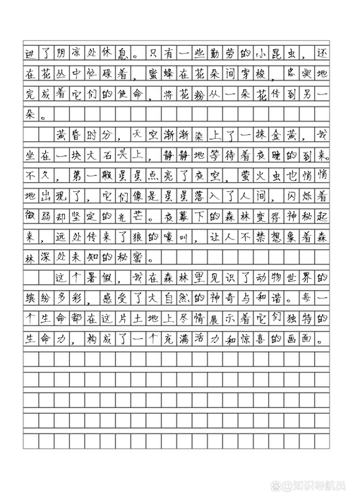 双边作文怎么写