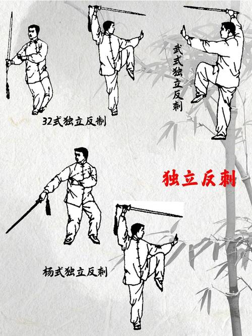 太极剑基本常识视频