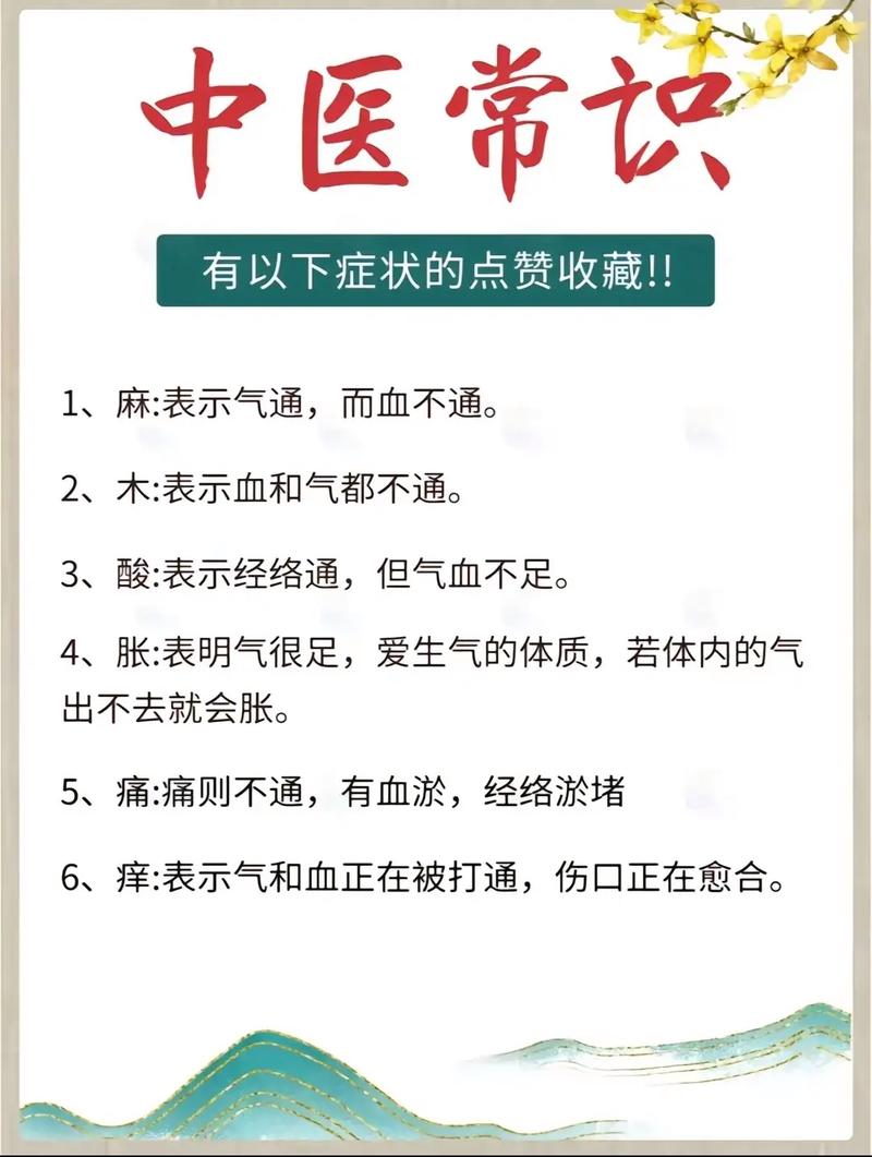 中医不得不知的常识