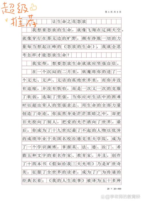 野心和雄心作文